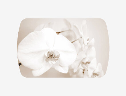 Стол обеденный Бостон-2 Лунная орхидея (брифинг) 