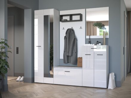 Шкаф для одежды 600 Gloss (Глосс) 