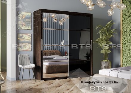 Шкаф-купе Крафт-6, венге 