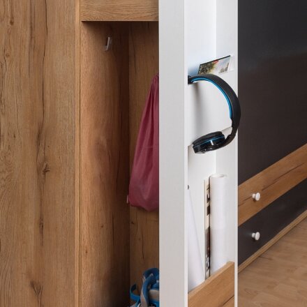 Шкаф МЦН 85 Лойс 